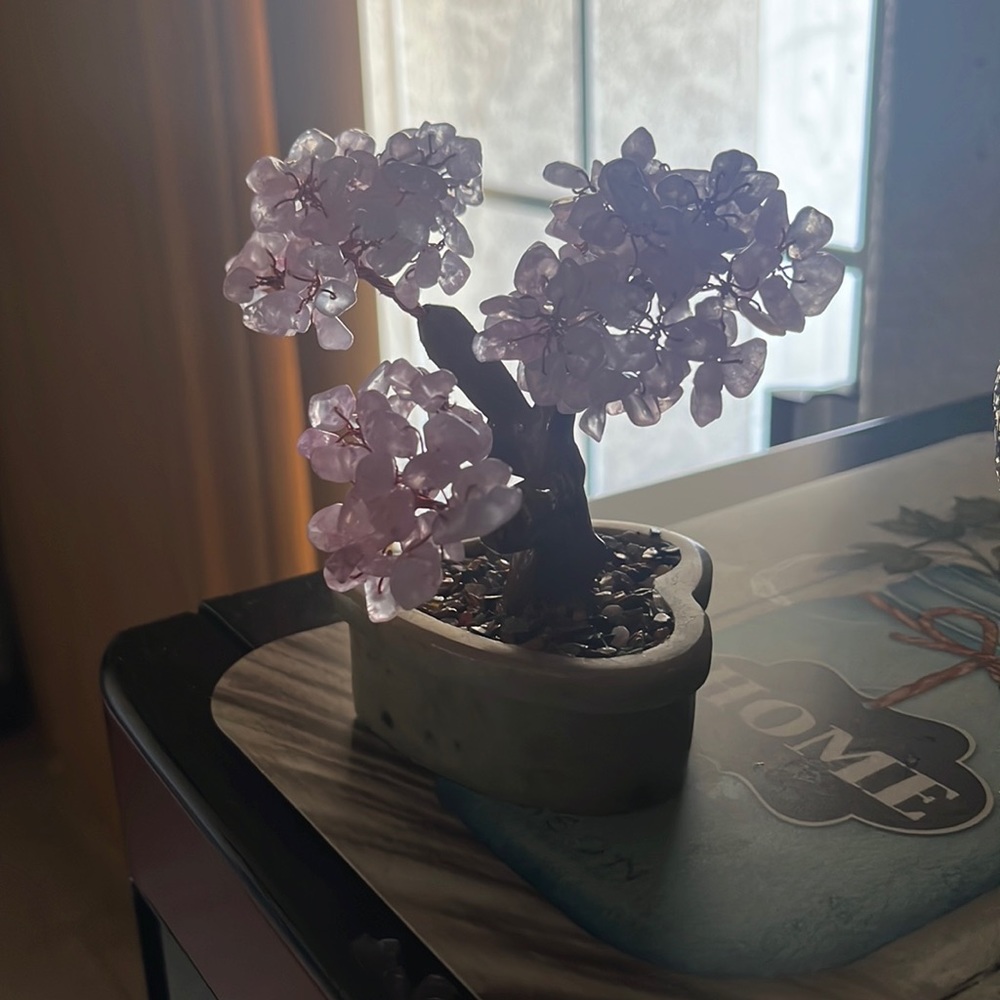 Cherry blossom tree